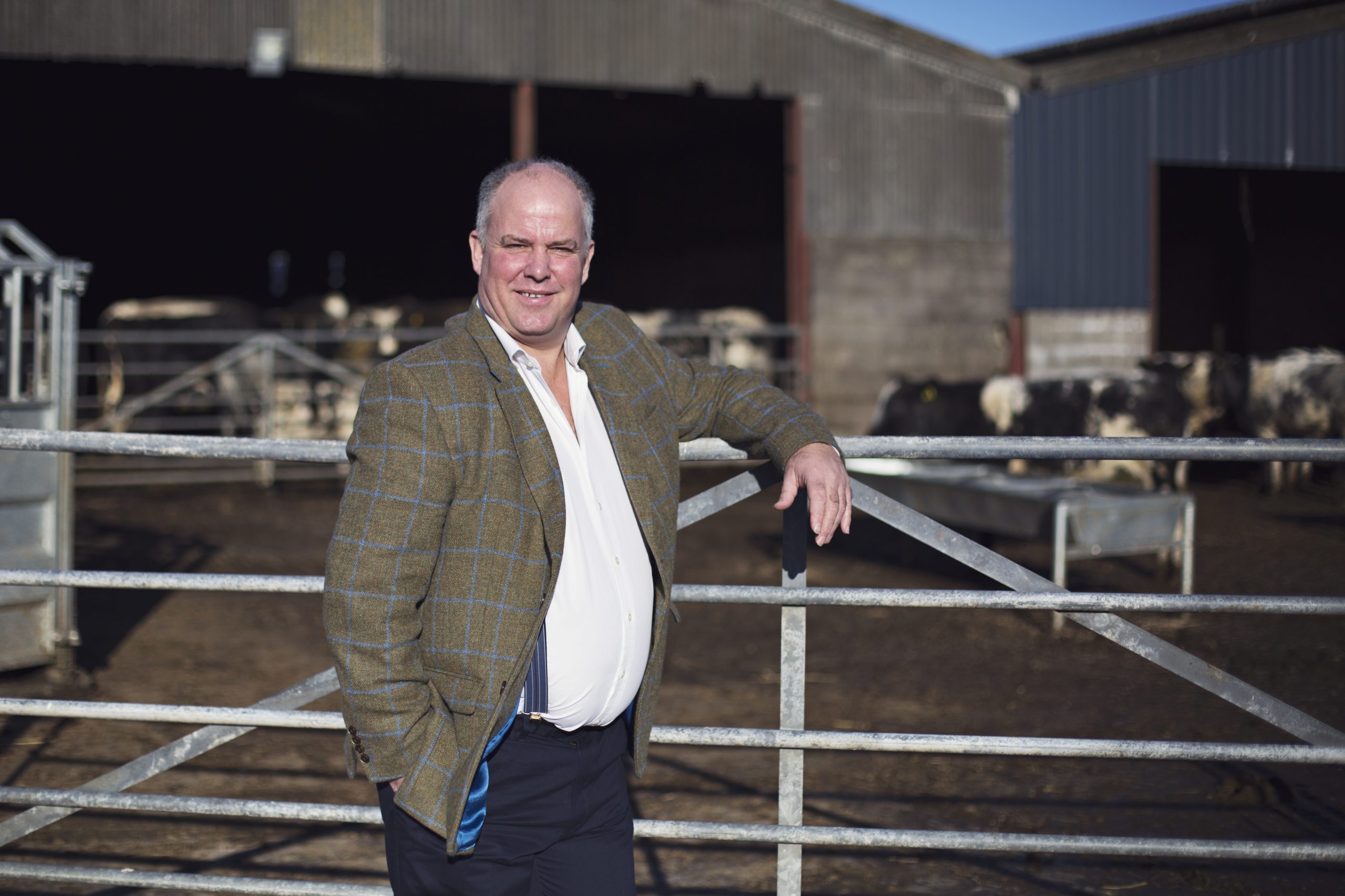 Andrew leaning against a farm gate with cattle in the background